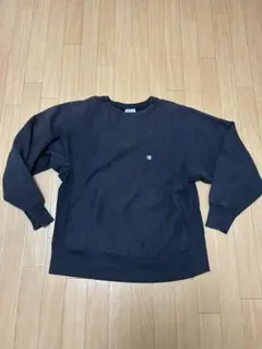 Item thumbnail for item dce76884-021a-4493-a550-049cba52f46d