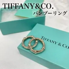 2025年最新】ティファニー バンブー ピアスの人気アイテム - メルカリ