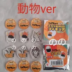 ハイキュー展 原画展 動物ver アクリル mini ミニフィギュア 研磨　宮治