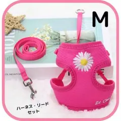 Item thumbnail for item 9f64a382-a5fb-4495-af94-8f0dab16dc9e