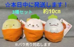 すみっコぐらし　ボールチェーン付き　にんじんポケット ぬいぐるみ 『3種セット』