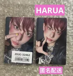 &TEAM Back to Life トレカ　HARUA ハルア