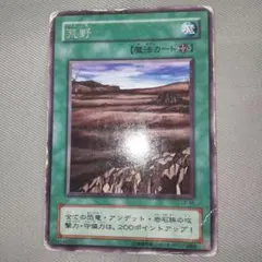 2025年最新】遊戯王カード初期荒野の人気アイテム - メルカリ