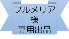 【専用出品】プルメリア様