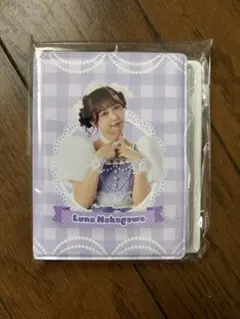 FRUITSZIPPER 仲川瑠夏 チェキファイル