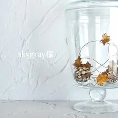 skygray様