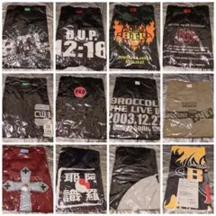 12枚 ブロッコリー　Tシャツ　BROCCOLI LIVE　声優　ライブ　タオル