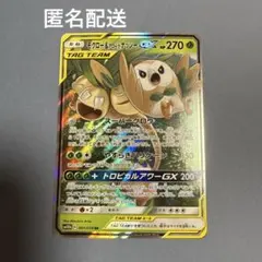 モクロー&アローラナッシーGX RR SM10b