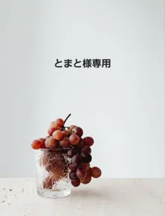 とまと様専用 ②