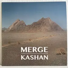 MERGE KASHAN レコード Growing Bin