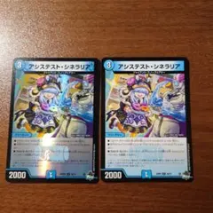 アシステストシネラリア 2枚セット