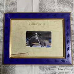 2026年最新】東ハト まねき馬の人気アイテム - メルカリ