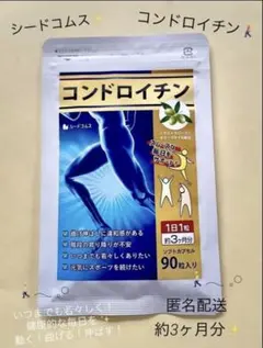 Item thumbnail for item ce9f26c9-034f-404d-8bf4-a3bbc3a9dd27