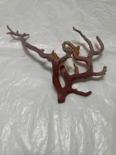 【一点もの】ガラパゴス諸島 アオアシカツオドリ 置物 作家 鳥　陶器人形 一点もの】ガラパゴス諸島 アオアシカツオドリ 置物 作家 鳥 陶器人形