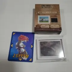 FINAL FANTASY IX 25th 額縁マグネット