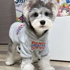 Item thumbnail for item 64fcf3c4-3493-4cf7-8002-77794fab40f7