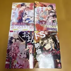 小説　4冊セット　tl小説　恋愛小説