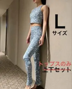 Item thumbnail for item 3f6e63bd-4434-4de3-bde7-0feb05b6389a