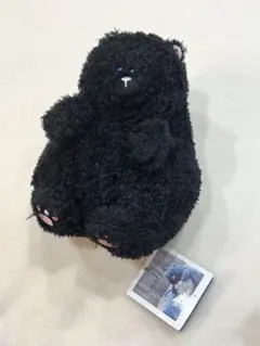 今日は月曜日。 ぬいぐるみ 黒