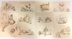 東京ディズニーランド カントリーベア ポストカード12枚セット