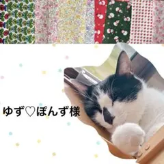 고양이 목걸이 해바라기 리본+안전 버클 ⑩ -TUE3-2