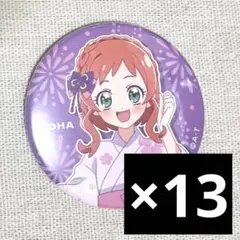わんだふるぷりきゅあ プリスト 缶バッジ いろは 13点