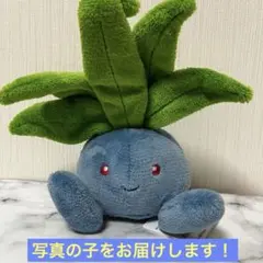 ポケットモンスター　ポケモン ナゾノクサ　ぬいぐるみ やさしいきもち　②