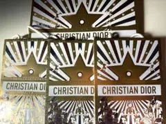 CHRISTIAN DIOR ショッパー2025年クリスマス　ディオール