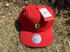 Ferrari F1 メディアパス 2022 鈴鹿 Ferrari F1 メディアパス 2022 鈴鹿 - メルカリ