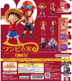 ワンピの実　第二十海戦　5点セット②