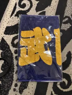 Item thumbnail for item 137e3227-d16e-4e9d-9c69-ad2e20b641a2