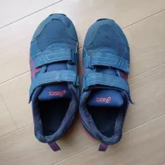 Item thumbnail for item 9157d64e-487d-4f00-a499-7f7b17ac921c