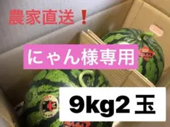 にゃん様専用