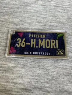 オリックス　森陽樹　コロチャレ　C賞