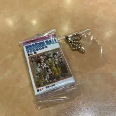 ドラゴンボール　コミックスチャームコレクション03 三十巻