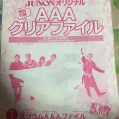 AAAクリアファイル