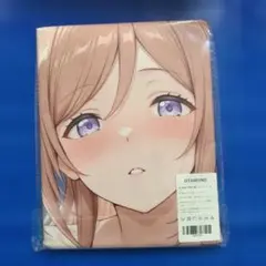 バスタオル・アニメグッズ・二次元美少女・タペストリー・100㎝×50㎝