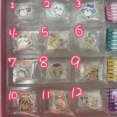 【早い者勝ち】組み合わせ自由！ちいかわ えらべる！ヘアクリップ