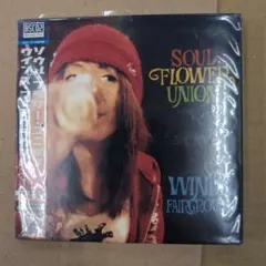 首爾•花•聯盟/WINDS FAIRGROUND/高音質盤/限定盤