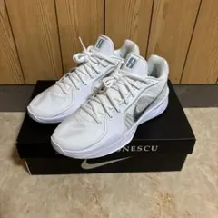 NIKE SABRINA 2 ホワイト/シルバー W24.5cm NIKE SABRINA 2 ホワイト/シルバー W24.5cm - メルカリ
