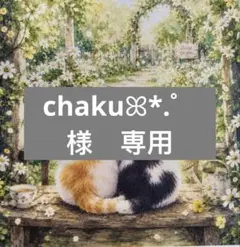 chakuꕤ*.゜様　専用
