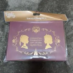 東京ディズニーシー アナと雪の女王　レターセット