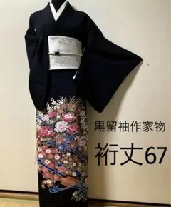 正絹黒留袖 友禅 作家物 花鳥文 ⑧( 訪問着、紬、袋帯なども出品