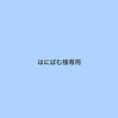 はにぱむ様専用ページ