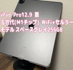 【即日発送！】iPadPro12.9第五世代 Cellularモデル　256GB
