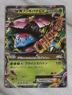 2026年最新】MフシギバナEX XY1-Bx 002/060の人気アイテム - メルカリ