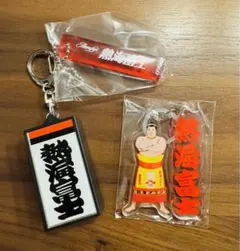 【大相撲】熱海富士セット