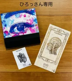 （ひろっさん専用）B6 ANATOMIA ILLUSTRATA 卓上カレンダー