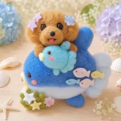 夏わんこ 海のお散歩✨ トイプードル ✨羊毛フェルト 夏 ギフト 犬 ドールのサムネイル