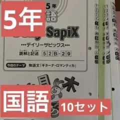 25年 中学受験 sapix 4年と5年 国語 デイリーチェック てんさく教室